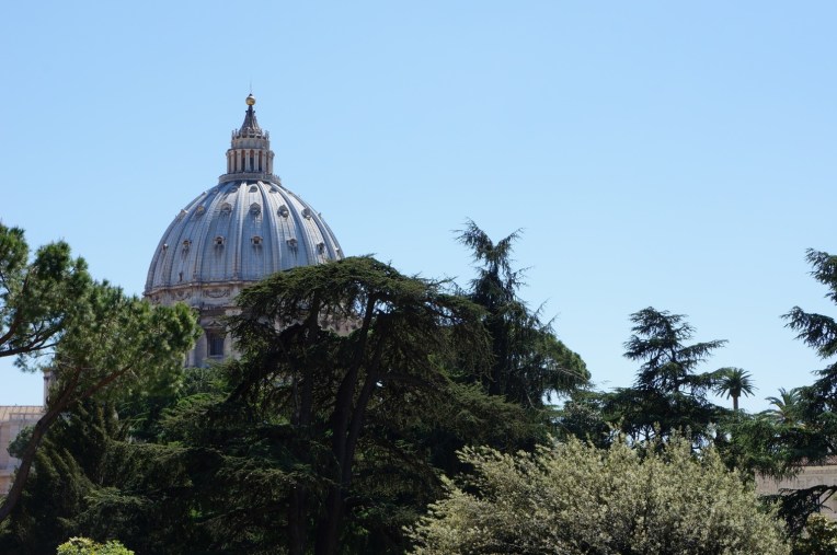 20120619-064830 PM.jpg