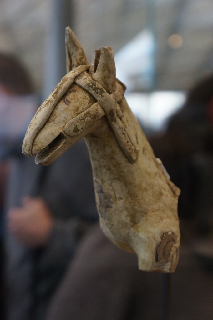 20121104-064223 PM.jpg