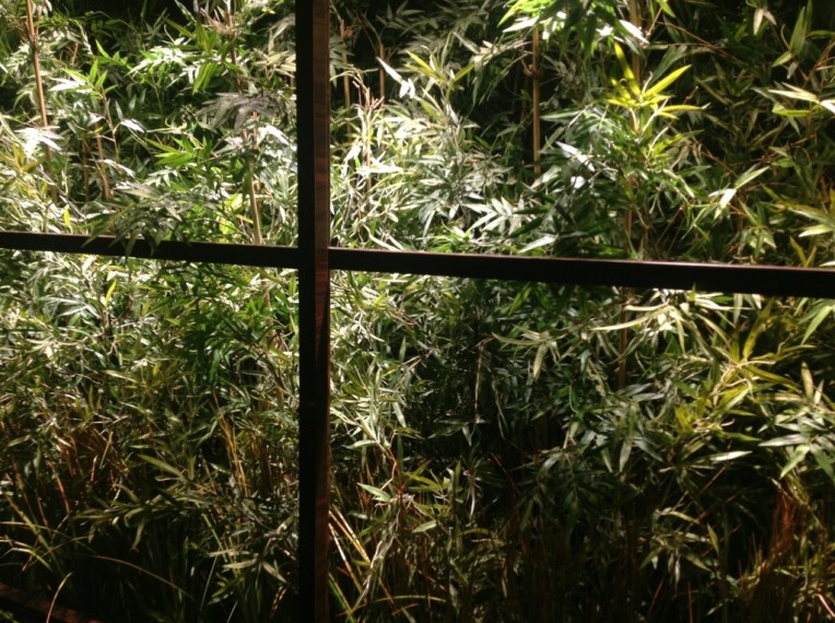 20121105-110155 PM.jpg