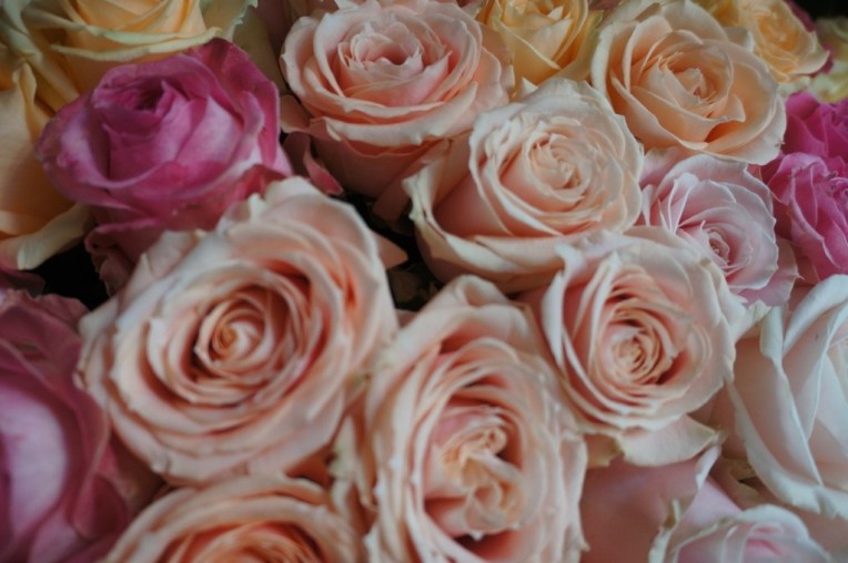 20121106-065419 PM.jpg