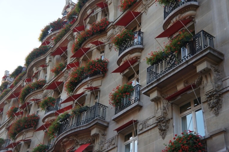 20121106-071658 PM.jpg