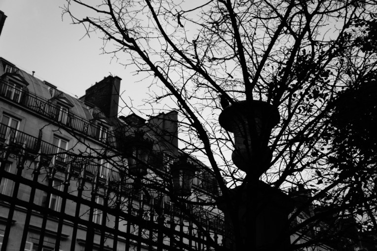 20121108-095524 PM.jpg