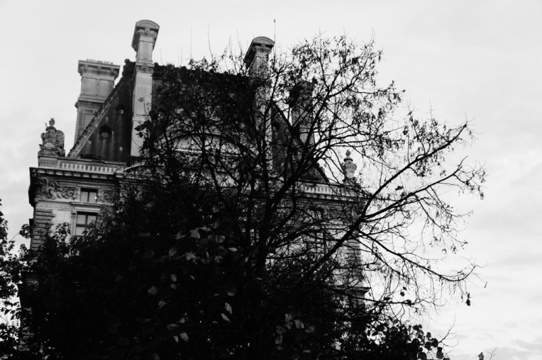 20121108-095538 PM.jpg