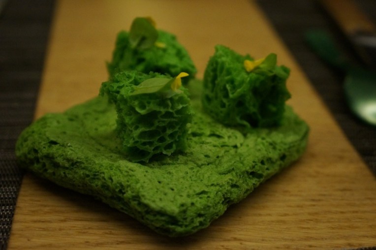 20121109-105759 PM.jpg