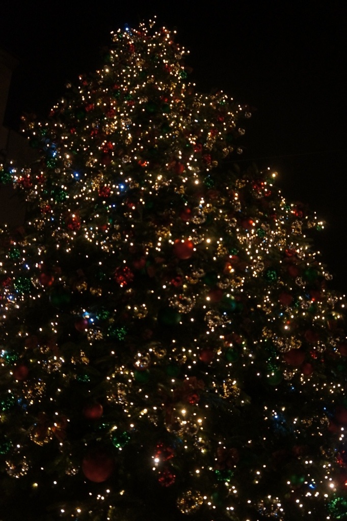 20121227-104214 PM.jpg