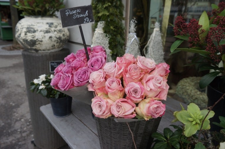 20121228-062954 PM.jpg