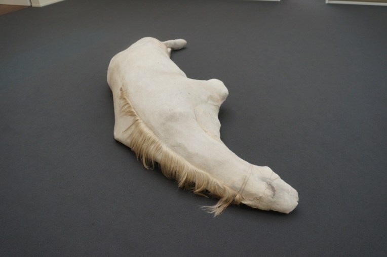 20121229-071058 PM.jpg