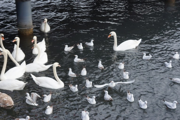 20121230-050101 PM.jpg