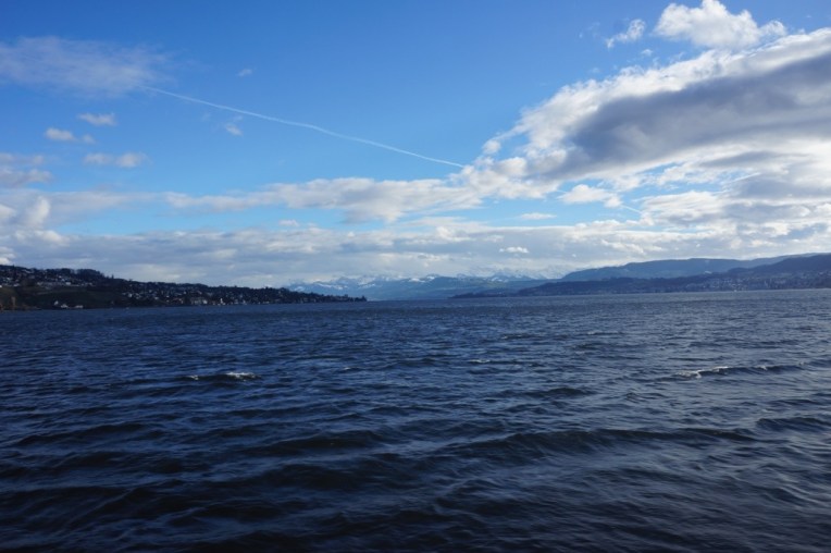 20121230-050137 PM.jpg