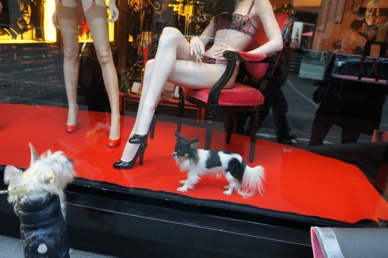 20130101-041237 PM.jpg