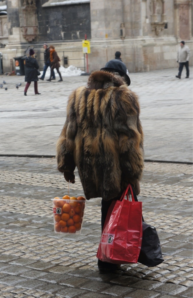 20130126-073408 AM.jpg