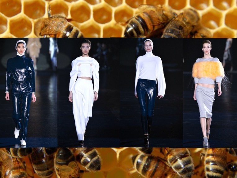 20130301-095414 PM.jpg