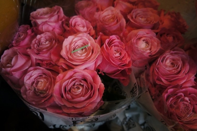 20130325-100244 PM.jpg