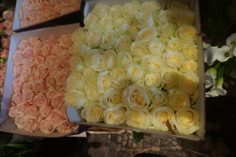 20130325-100718 PM.jpg