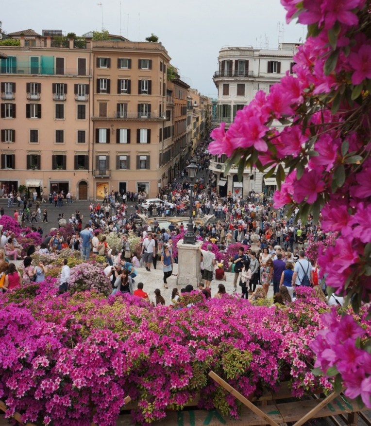 20130419-090709 PM.jpg