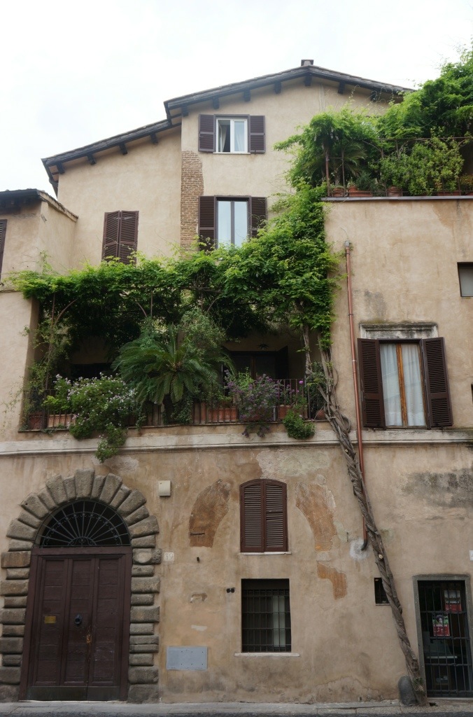 20130419-091525 PM.jpg