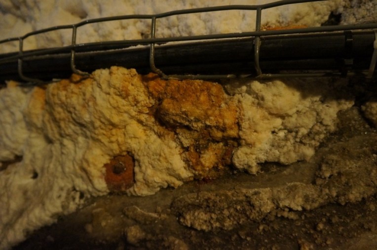 20130429-075658 PM.jpg