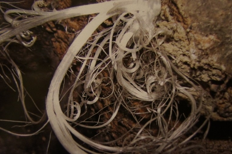 20130429-075815 PM.jpg