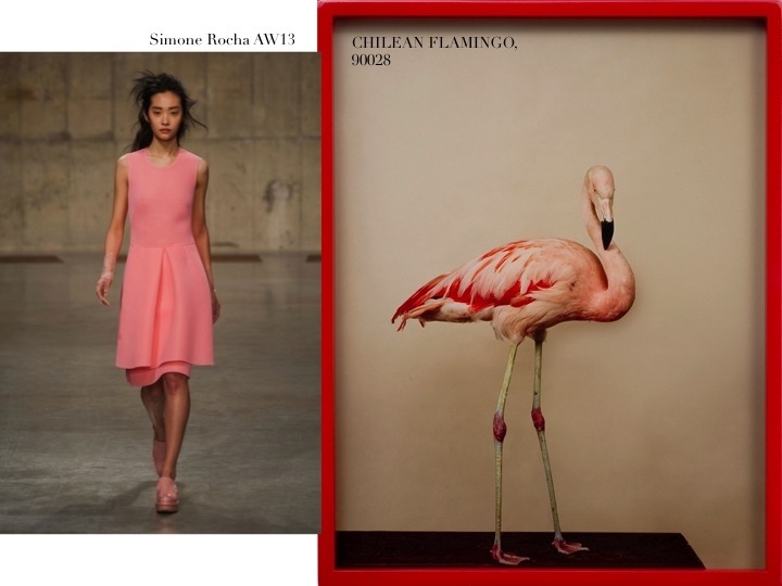 20130613-090602 PM.jpg