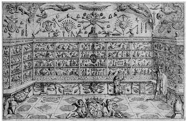 20130705-111449 PM.jpg