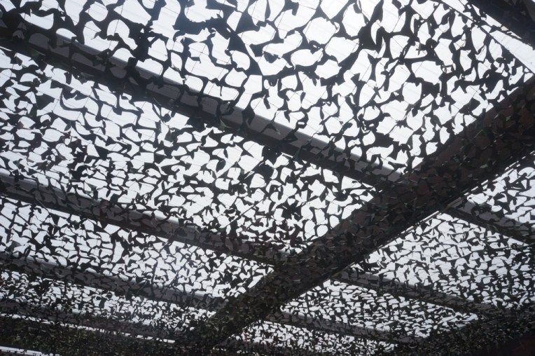 20130705-112818 AM.jpg