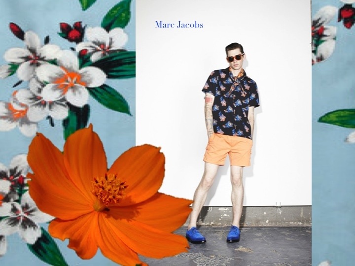 20130717-045746 PM.jpg