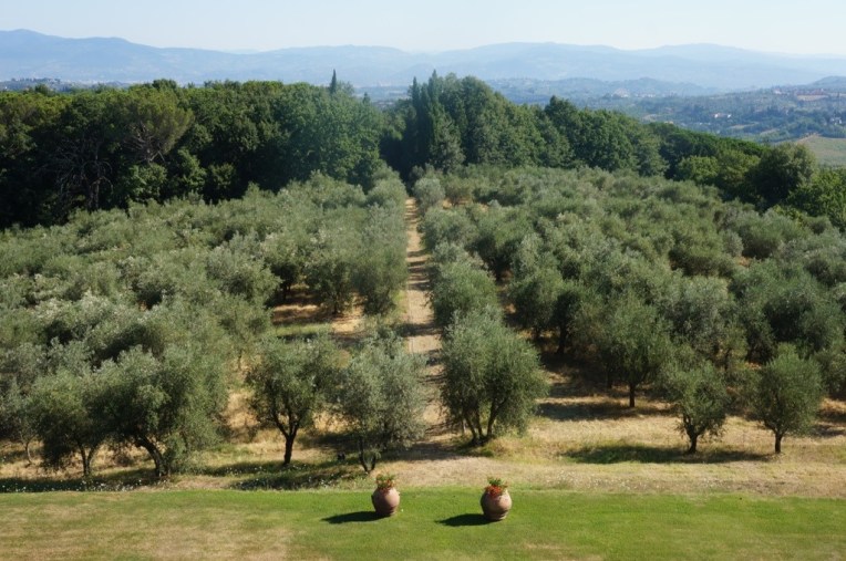 20130812-055804 PM.jpg