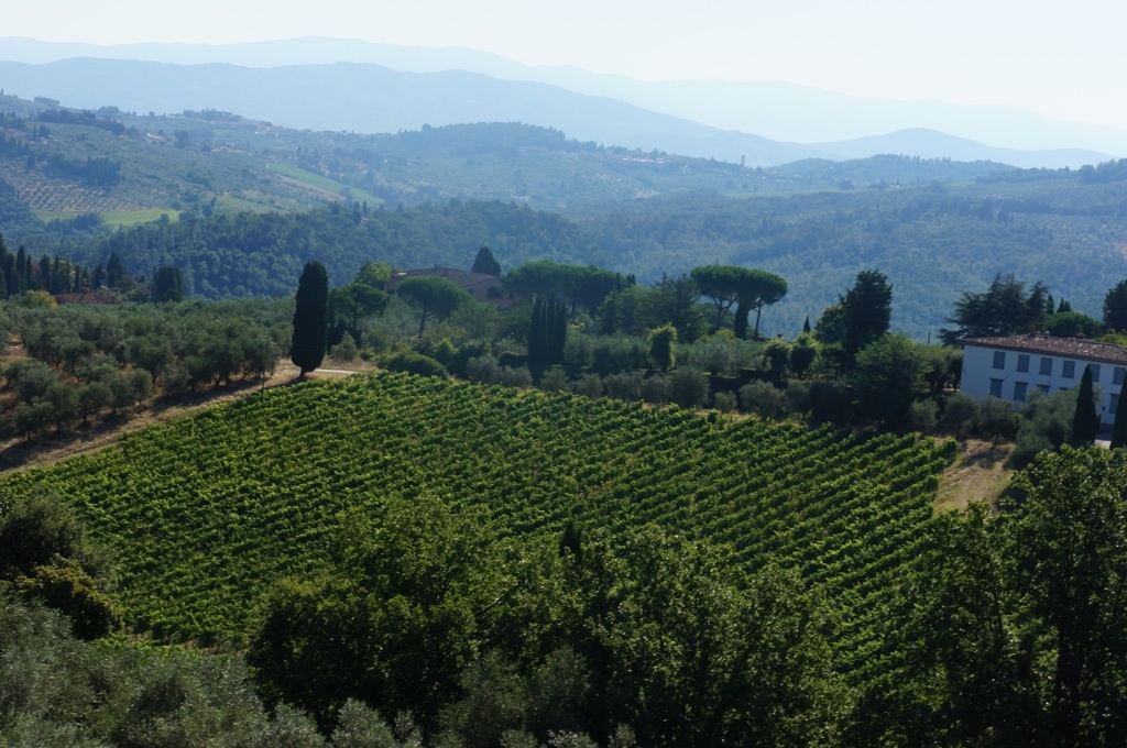 20130812-055834 PM.jpg