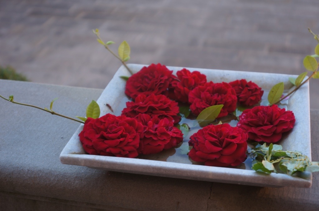 20130812-055841 PM.jpg