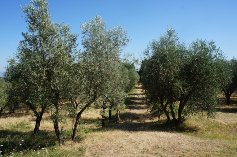 20130812-055952 PM.jpg