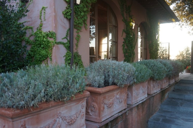 20130812-114417 PM.jpg