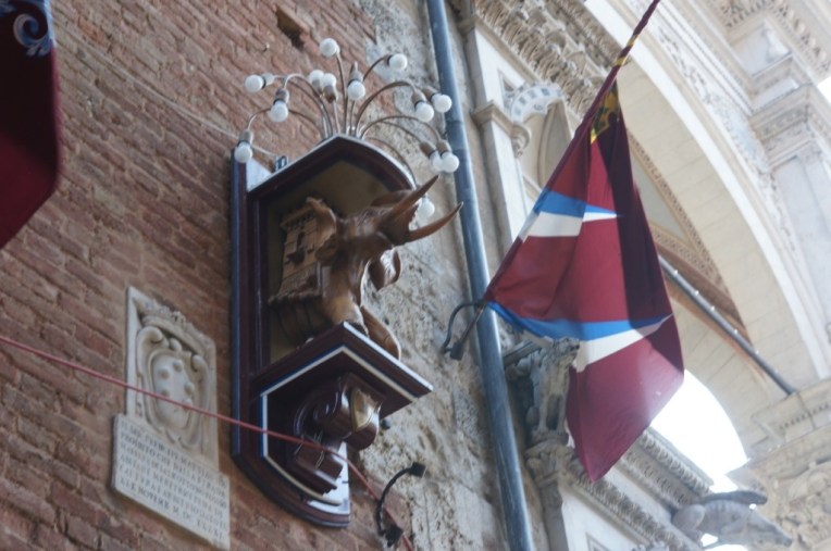 20130816-094727 AM.jpg