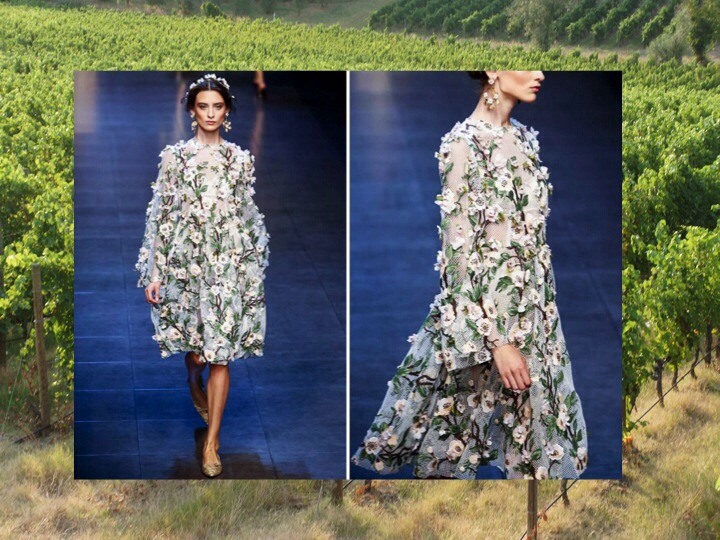 20130923-084948 AM.jpg