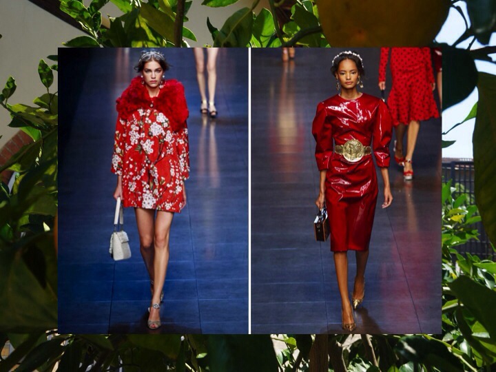 20130923-085022 AM.jpg