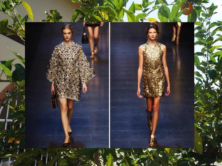 20130923-085028 AM.jpg