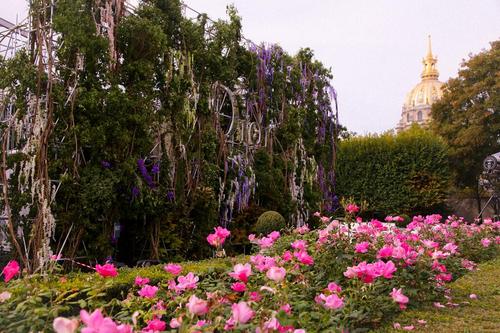 tumblr_mttpe5SDWn1suzcujo1_500