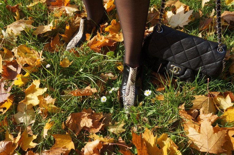 20131020-080905 PM.jpg