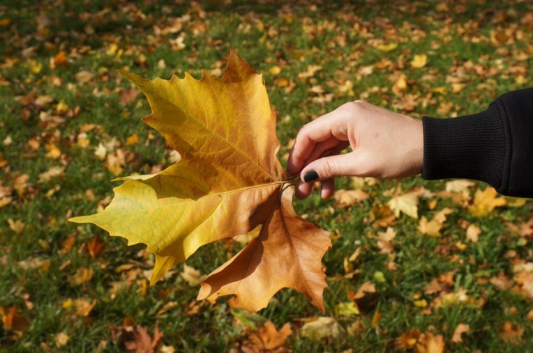 20131020-080927 PM.jpg