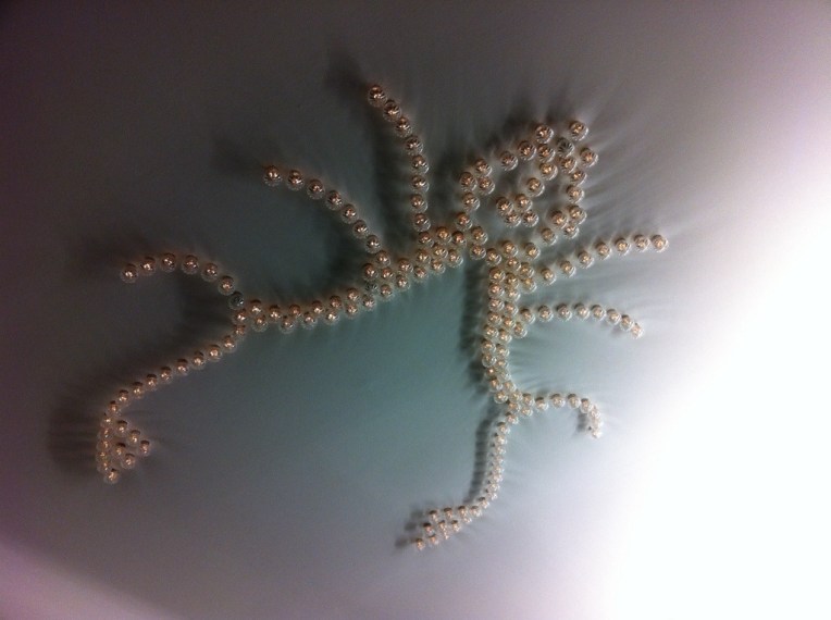 20131108-091954 PM.jpg