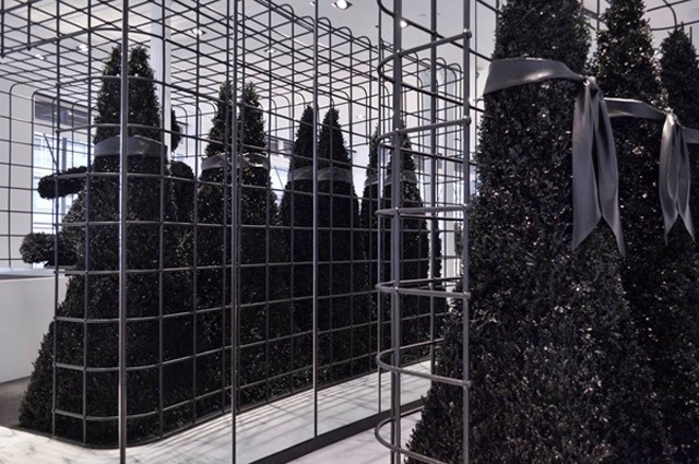 20131226-105559 PM.jpg