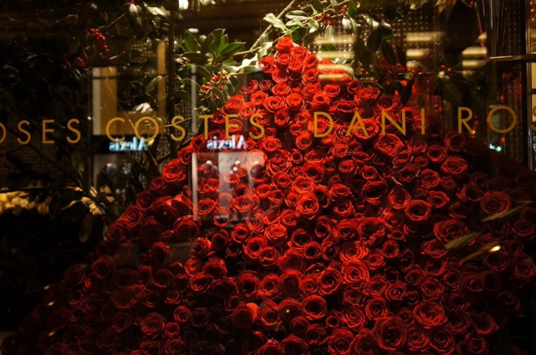 20131230-053548 PM.jpg