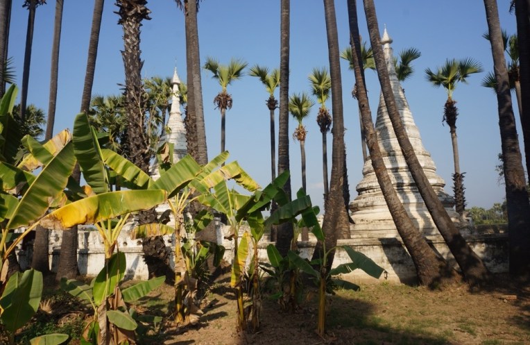 20140207-101040 PM.jpg