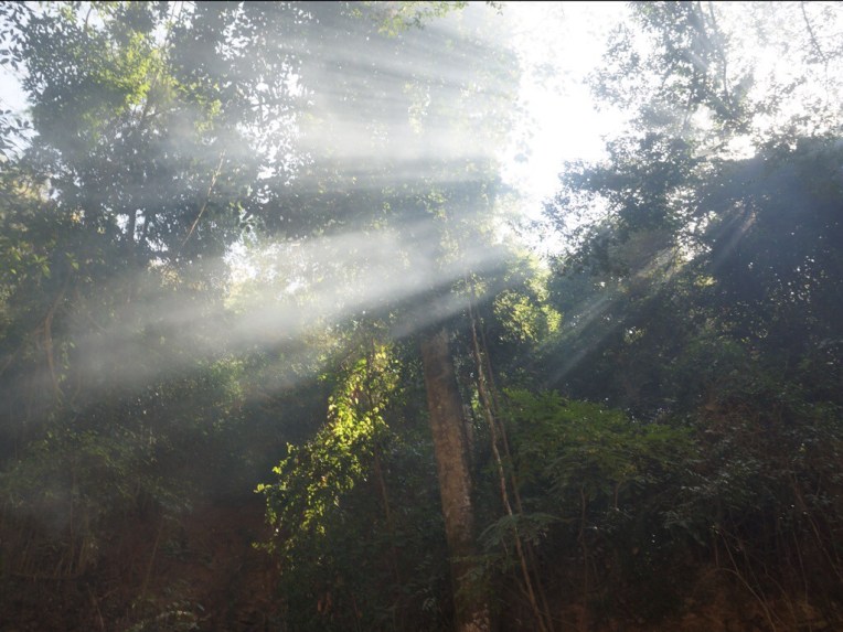 20140208-100921 PM.jpg