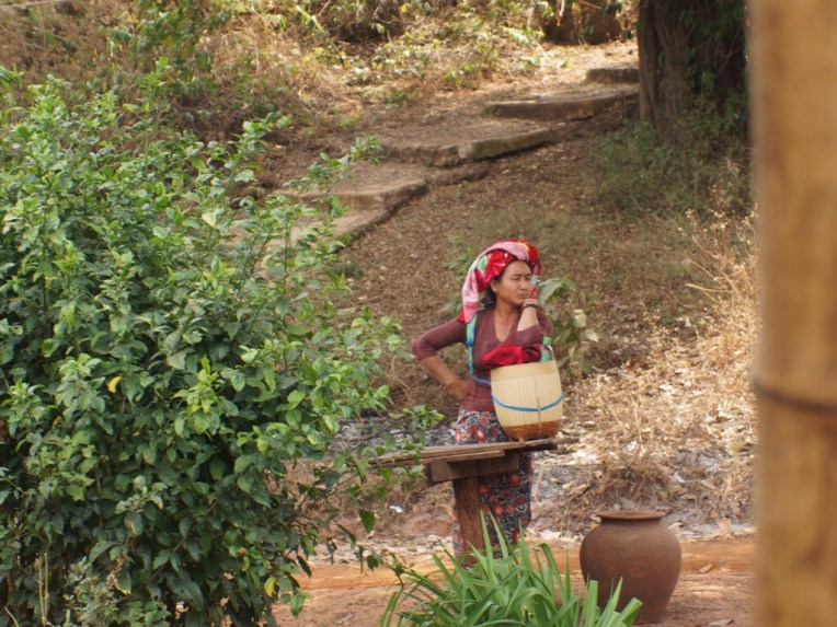 20140214-095303 PM.jpg