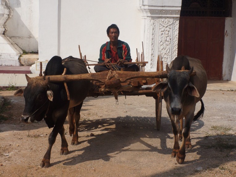 20140214-095451 PM.jpg