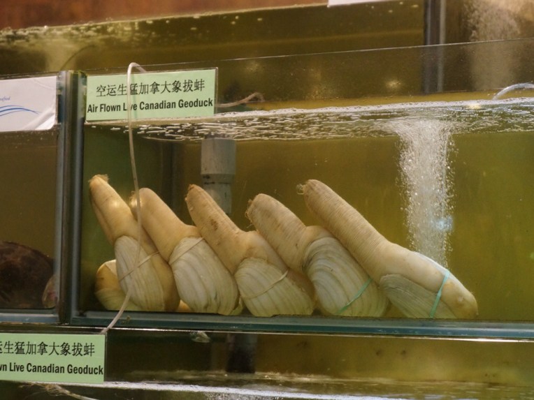 20140216-095319 PM.jpg