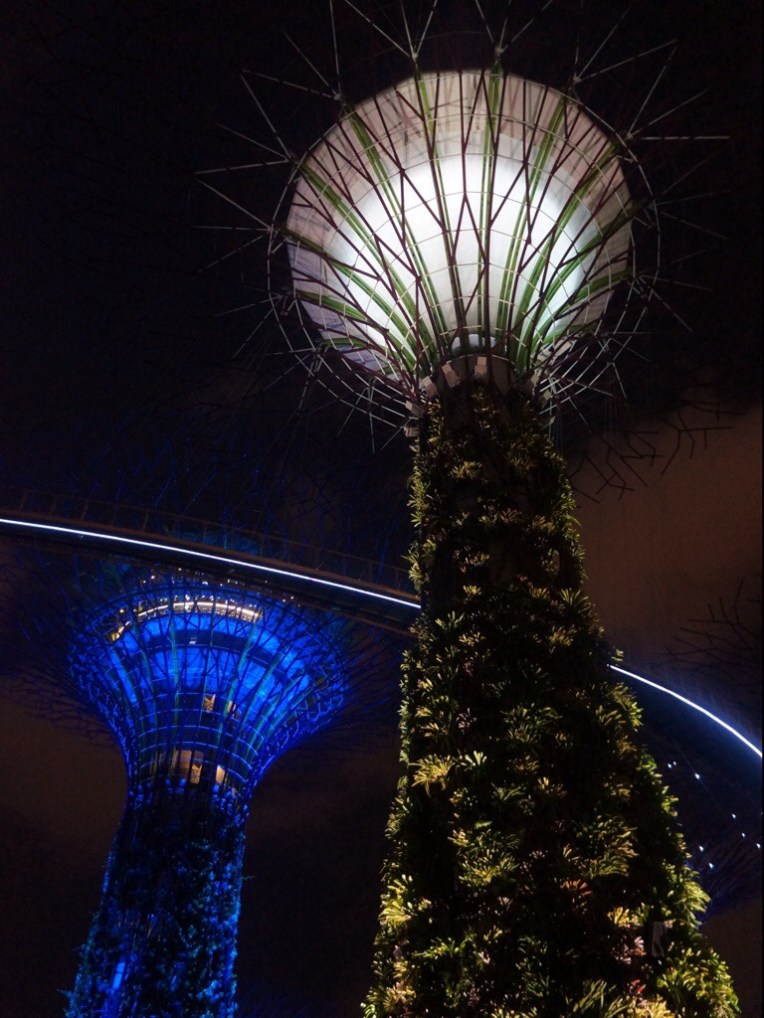 20140216-095348 PM.jpg