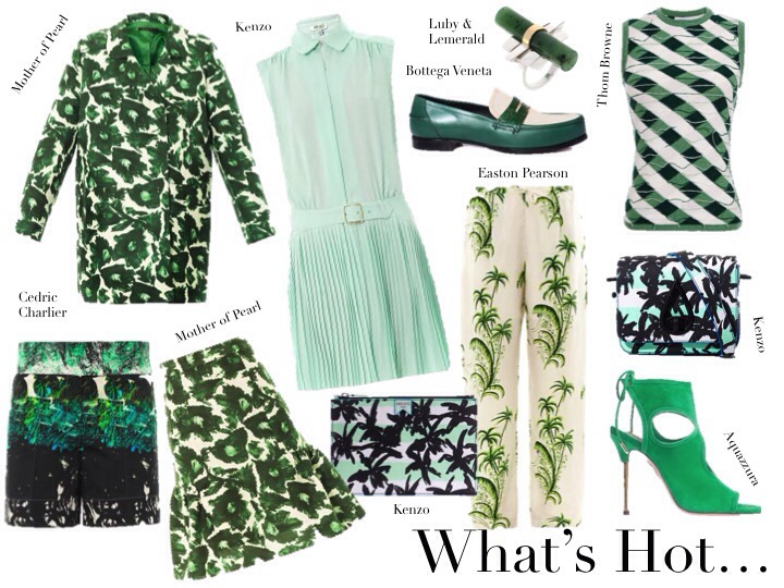 20140218-123242 PM.jpg