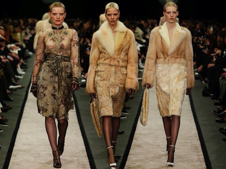 20140303-090205 PM.jpg