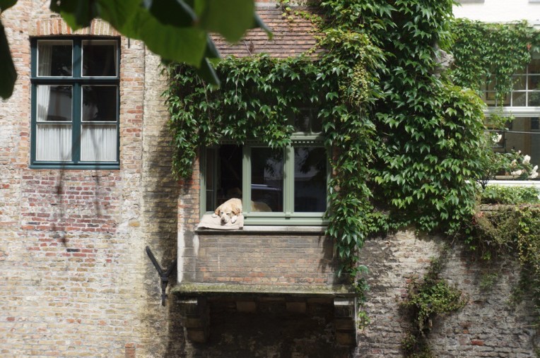 20140717-110022 AM-39622051.jpg